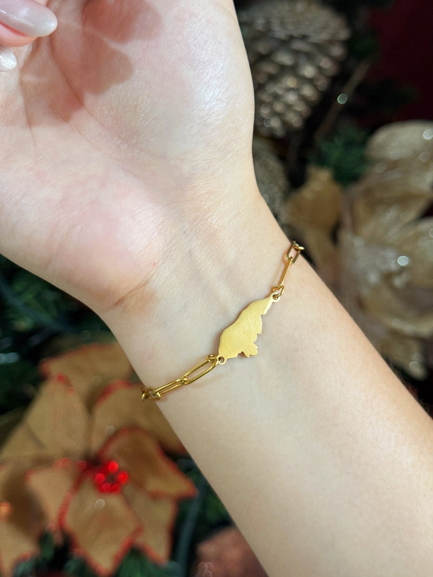 Pulsera clips & mapa Honduras