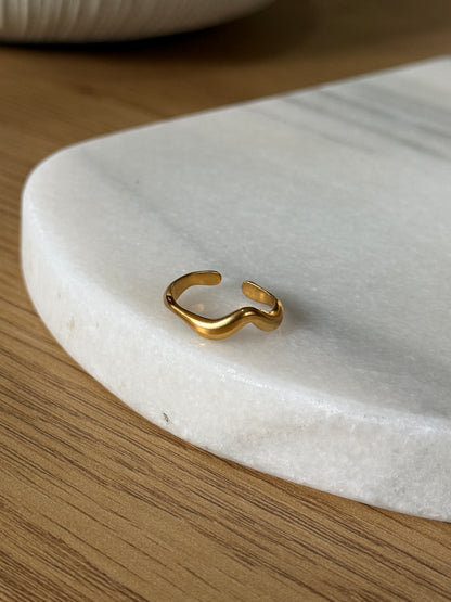 Anillo curve