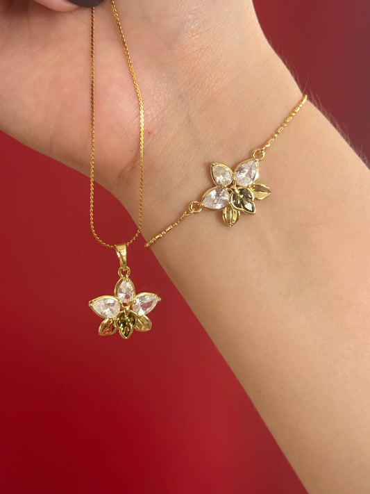 Set Orquídea